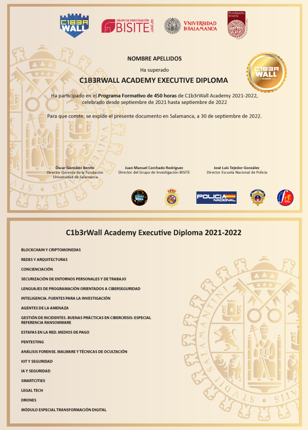 C1b3rWall Academy Executive Diploma